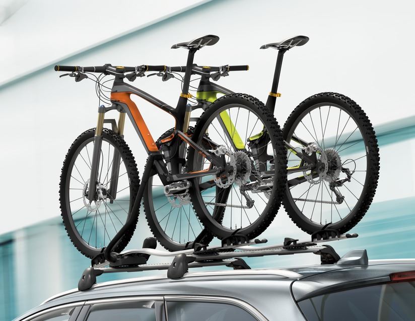 Thule®* Portabici da tetto Expert 298 - 2143360