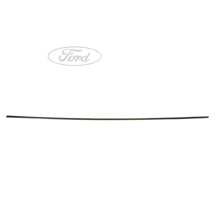 Guarnizione inferiore portiera posteriore originale FORD S-MAX WA6 1691095
