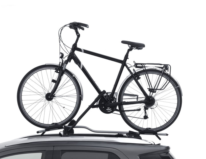 THULE®* PORTABICI DA TETTO EXPERT 298