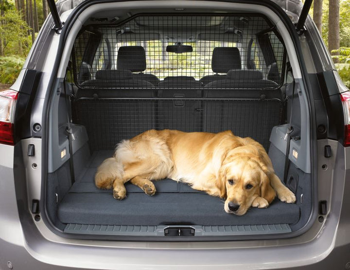C-MAX KIT ESTENSIONE GRIGLIA DIVISORIA PER TRASPORTO ANIMALI CON DISPOSITIVI DI FISSAGGIO A PARTIRE DA 04/2015