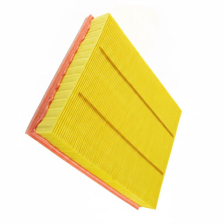 Cartuccia filtro aria Ranger 2.0 EcoBlue 2019-2023