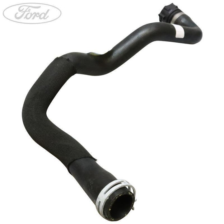 Flessibile radiatore inferiore originale Ford Focus 2011- 2.0 EcoBoost 1761394