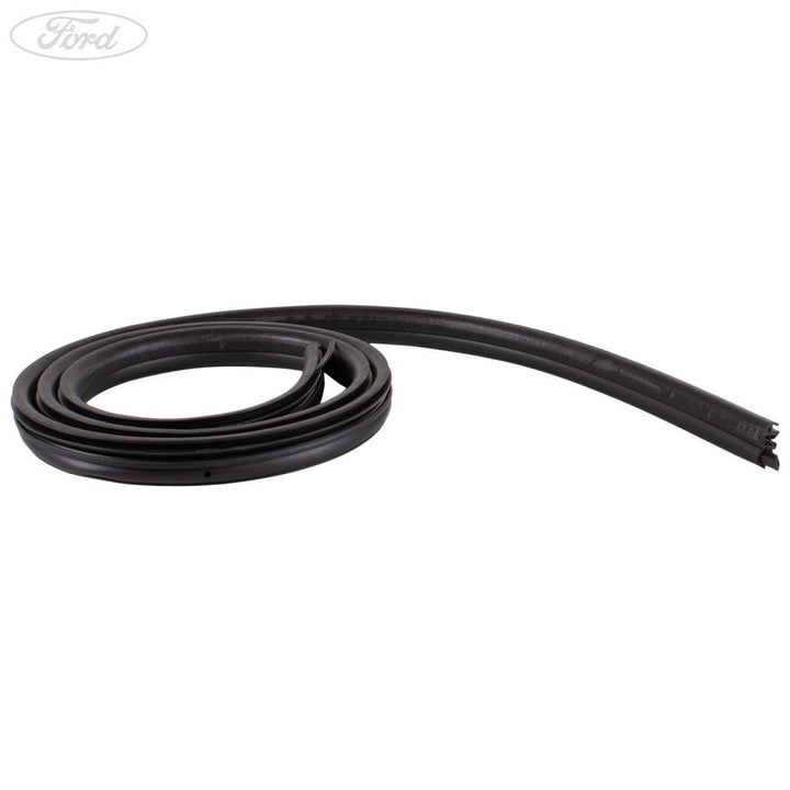 Guarnizione finestrino apertura portellone originale Ford Kuga 1548243