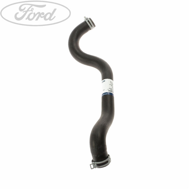 Flessibile liquido di raffreddamento originale Ford 1546447