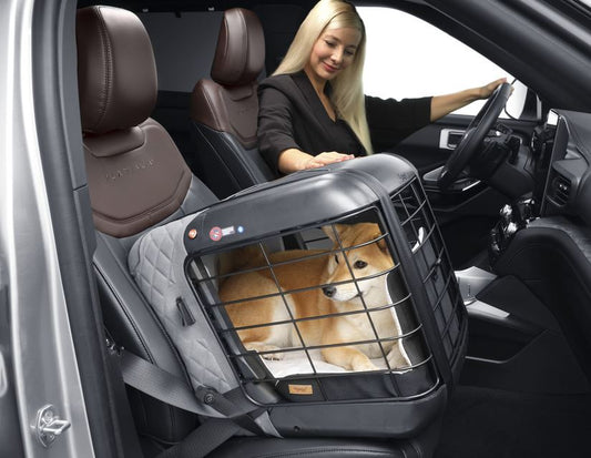 4PETS®* BOX DA TRASPORTO CAREE PER CANI E GATTI, DA FISSARE SALDAMENTE SU QUALSIASI SEDILE PASSEGGERI, COOL GREY