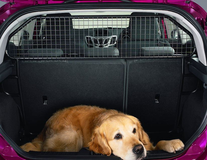 Originale Ford Fiesta Griglia divisoria per trasporto animali mezza altezza