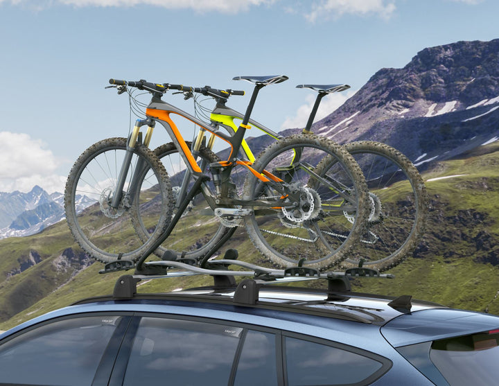 THULE®* PORTABICI DA TETTO EXPERT 298