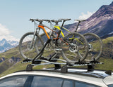 THULE®* PORTABICI DA TETTO EXPERT 298