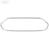 Griglia originale Ford Transit Connect Mk2 cromata 13- 1897687