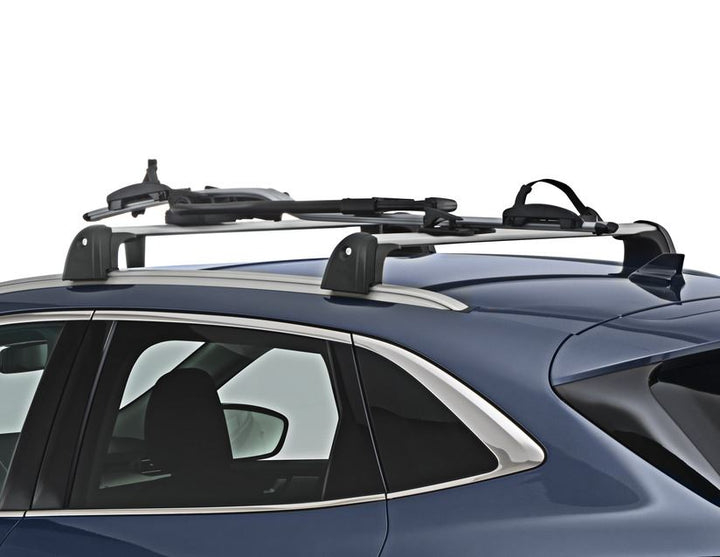 THULE®* PORTABICI DA TETTO EXPERT 298