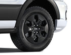Originale Ford Transit® dal 05/2019 Cerchi in lega 16