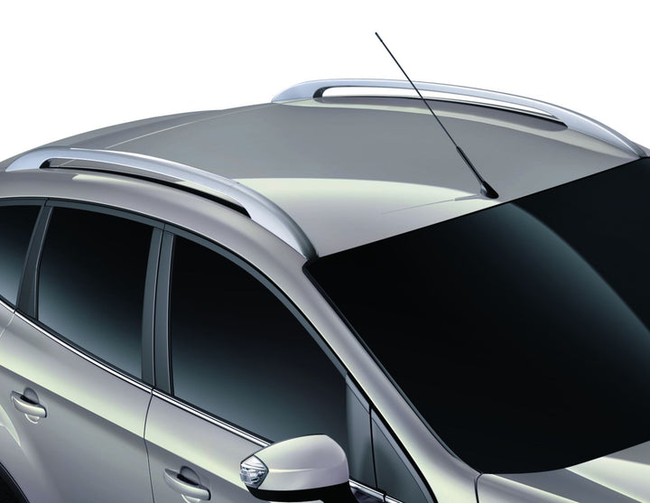 Originale Ford Kuga 01/2008-10/2012 Corrimano da tetto argento