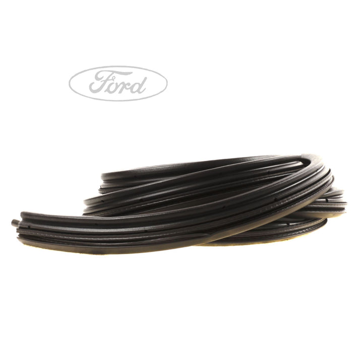 Guarnizione porta anteriore originale Ford Transit 1555296
