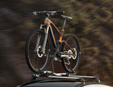 THULE®* PORTABICI DA TETTO EXPERT 298