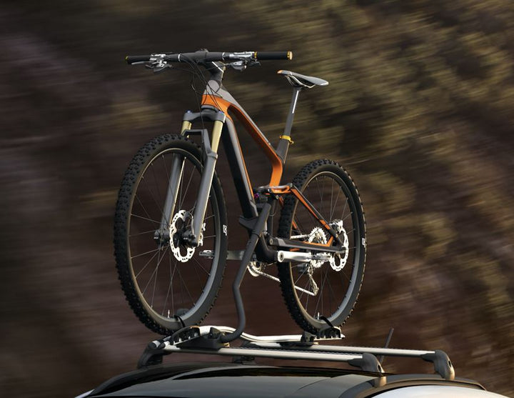 THULE®* PORTABICI DA TETTO EXPERT 298