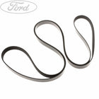 Cinghia alternatore impianto clima Ford Ranger TKE 2.2tDCI 2013-2015 1720651