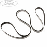 Cinghia alternatore impianto clima Ford Ranger TKE 2.2tDCI 2013-2015 1720651