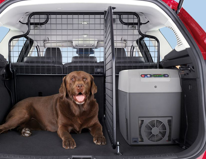 Originale Ford Focus Separatore vano bagagli per griglia divisoria trasporto animali