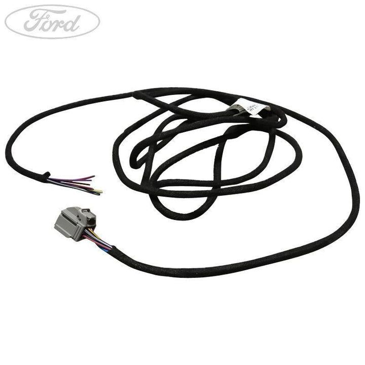 Cavo originale Ford Transit/Tourneo 2016-2017 (tutti i motori Panther) 2026720