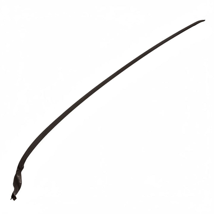 Modanatura parabrezza DX Carbon Black S-MAX 2015-2023
