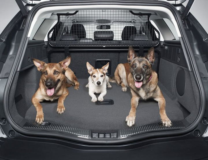Originale Ford Mondeo Griglia divisoria per trasporto animali Mezza altezza