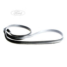 Guarnizione porta esterna sx originale Ford Fiesta 1794593