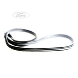 Guarnizione porta esterna sx originale Ford Fiesta 1794593
