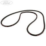 Guarnizione porta anteriore sinistra originale Ford Kuga dal 2012 2010397