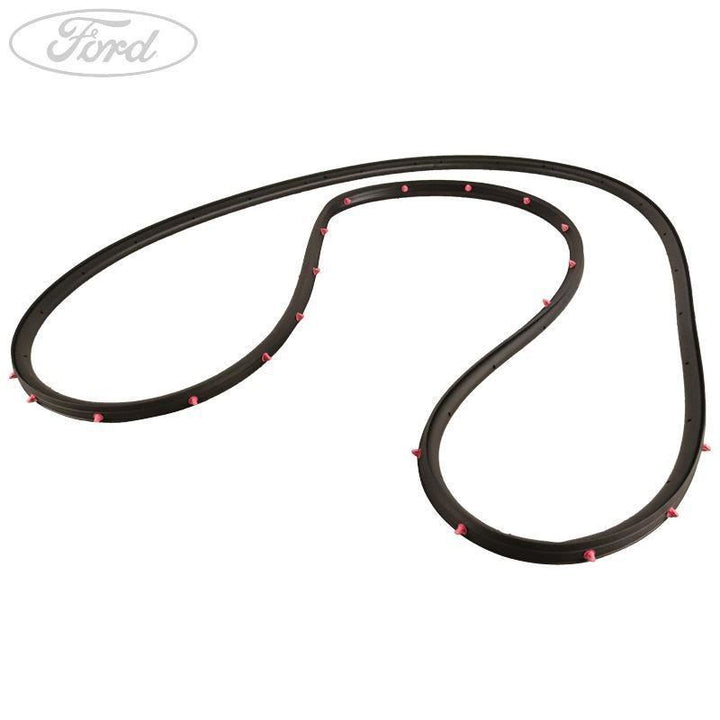 Guarnizione porta anteriore sinistra originale Ford Kuga dal 2012 2010397
