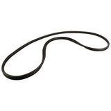 Guarnizione porta anteriore sinistra originale FORD Ranger Mk4 1944552