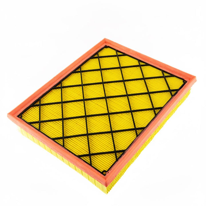 Cartuccia filtro aria Ranger 2.0 EcoBlue 2019-2023