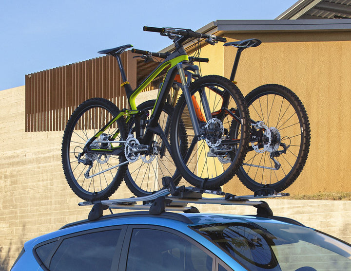 THULE®* PORTABICI DA TETTO EXPERT 298