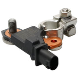 Sistema di gestione della batteria originale Ford 5180311