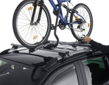 THULE®* PORTABICI DA TETTO EXPERT 298