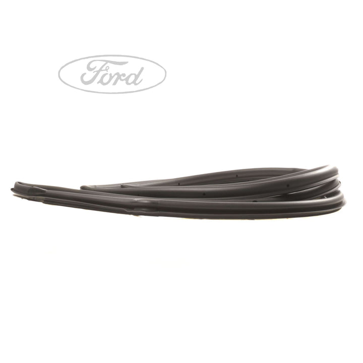 Guarnizione paraspruzzi porta anteriore originale Ford Fiesta 2054842