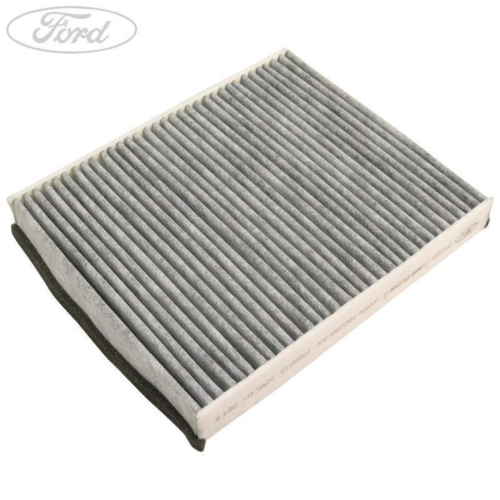 Filtro antipolline interno originale FORD C-MAX Focus Kuga 1709013
