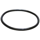 O-ring paraolio semiasse cambio automatico Powershift a 6 marce 2008-2022