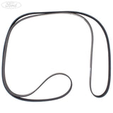 Cinghia Trapezoidale Originale Ford Ranger 3.2 Duratorq TDCi/tras. aux 09/2015- 1885700