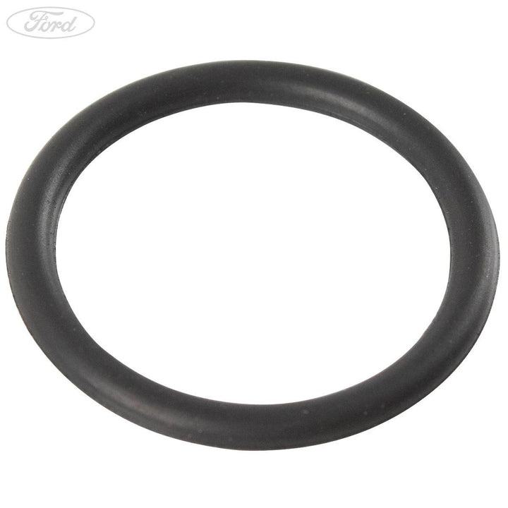 O-ring gomma per ingr. pompa olio Ford 1.25 Duratec 1.19 Sigma originale 1007709
