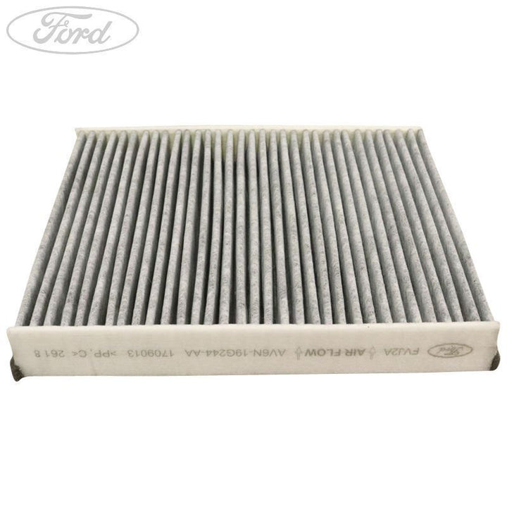 Filtro antipolline interno originale FORD C-MAX Focus Kuga 1709013
