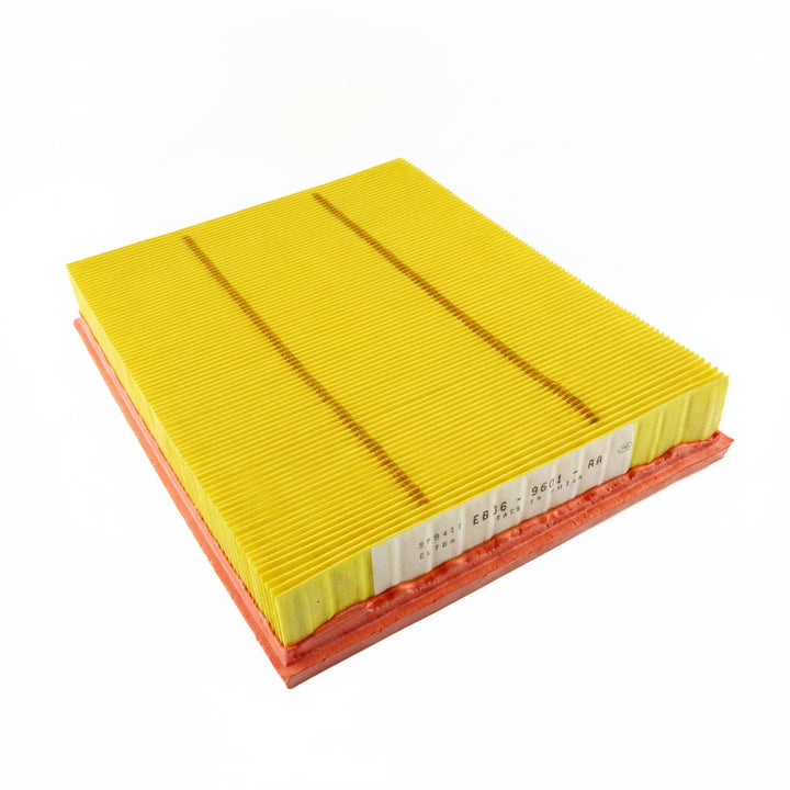Cartuccia filtro aria Ranger 2.0 EcoBlue 2019-2023