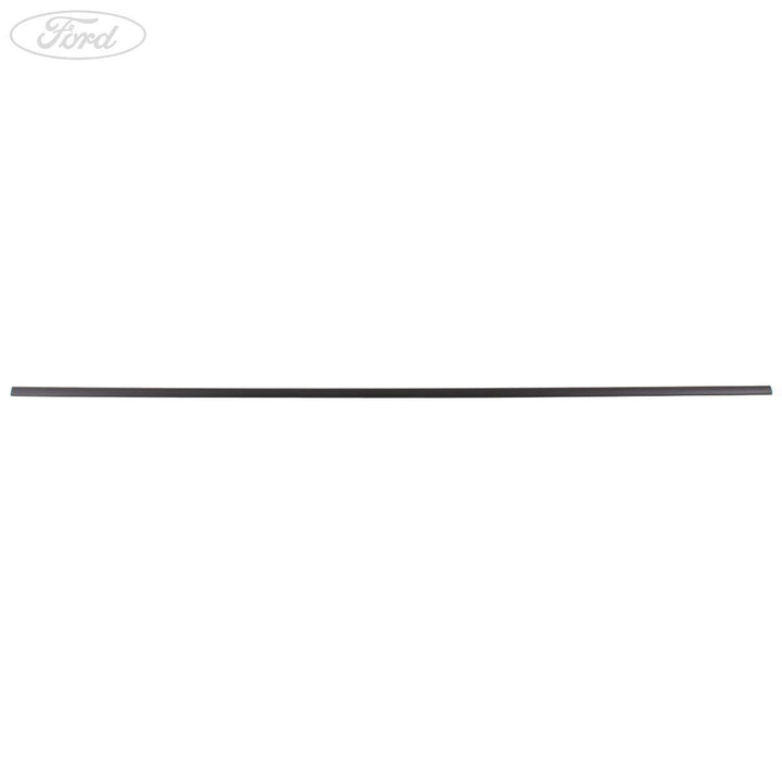 Guarnizione inferiore portiera posteriore originale FORD S-MAX WA6 1691095