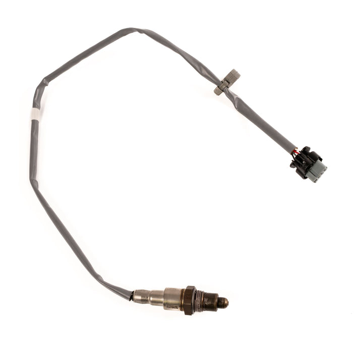 Sonda lambda Focus 1.0 EcoBoost 2018+
