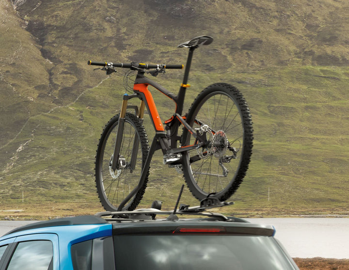 THULE®* PORTABICI DA TETTO EXPERT 298