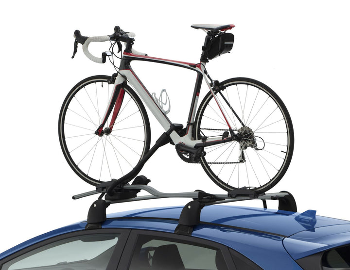 THULE®* PORTABICI DA TETTO EXPERT 298