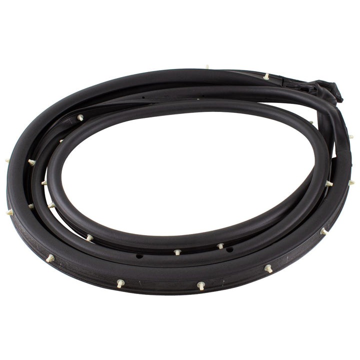 Guarnizione orig. Ford EcoSport finestrino ant. lato pass. 2017-2018 1888416