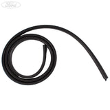 Guarnizione finestrino apertura portellone originale Ford Kuga 1548243