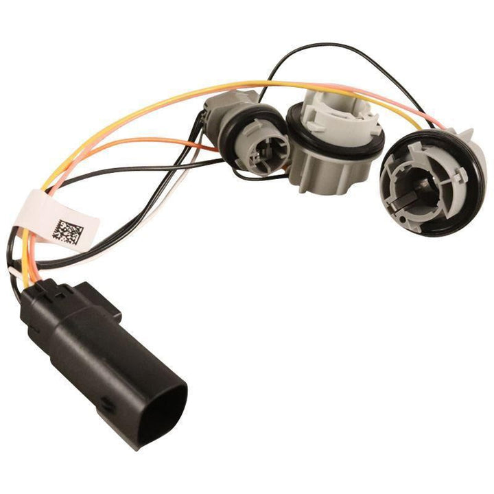 Portalampada fanale posteriore originale Ford Focus 2014-2020 1872087
