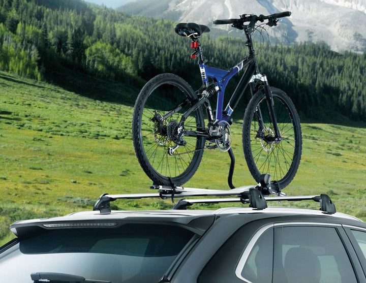 THULE®* PORTABICI DA TETTO EXPERT 298