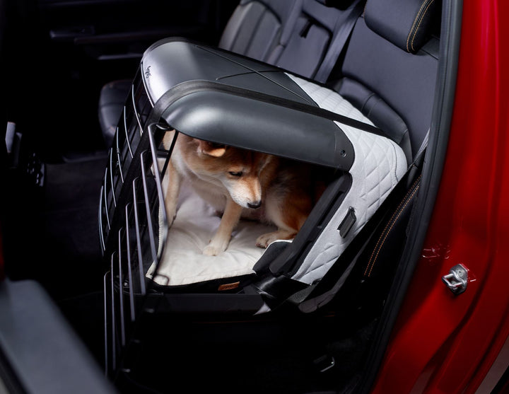 PETCUTE Cuccia Pieghevole Per Auto Per Cani E Gatti – Booster Sedile Con Guinzaglio Di Sicurezza, Impermeabile E Portatile, Per Animali Fino A 9 Kg